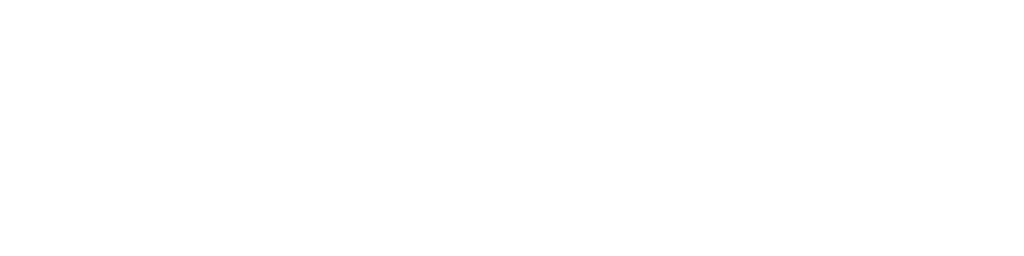 Storage Moguls
